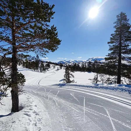 Apartment Panorama *